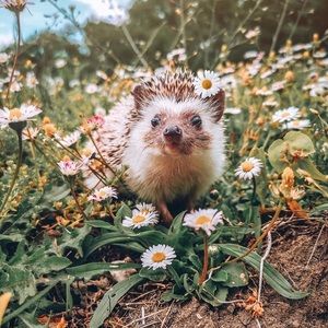 Meet your Posher, Alisia